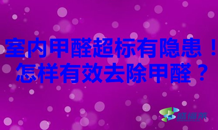 室内甲醛超标有隐患!怎样有效去除甲醛?