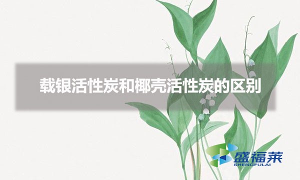 载银活性炭和椰壳活性炭的区别(载银活性炭与椰壳活性炭的特点)