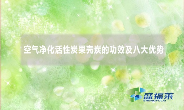 空气净化活性炭果壳炭的功效及八大优势