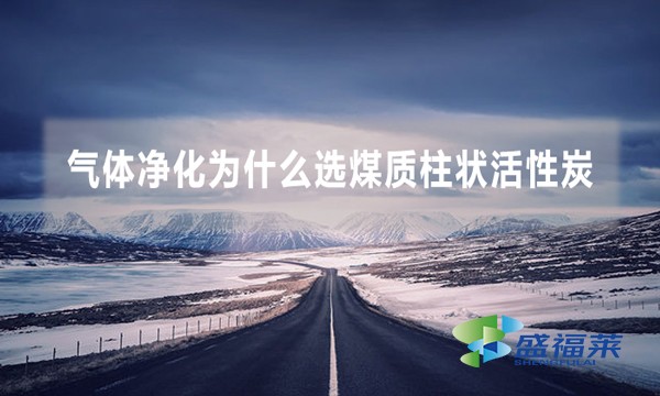 气体净化为什么选煤质柱状活性炭