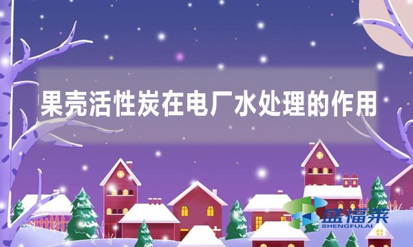 果壳活性炭在电厂水处理的作用(果壳活性炭的作用和功效)