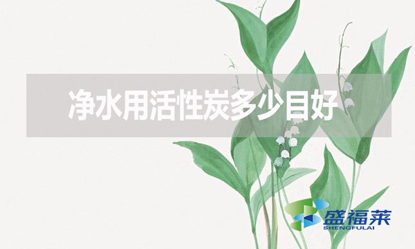 净水用活性炭多少目好?有哪些优缺点?