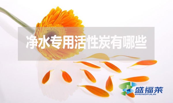 净水专用活性炭有哪些?多少钱一吨?