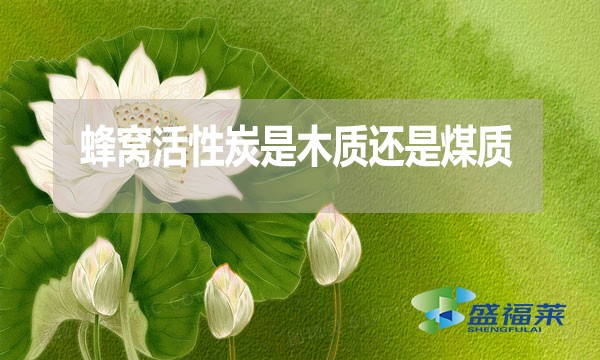 蜂窝活性炭是木质还是煤质?哪种好?