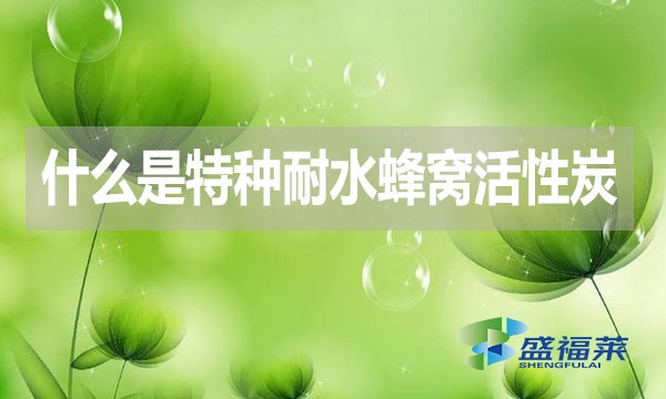 什么是特种耐水蜂窝活性炭?哪里能用到?