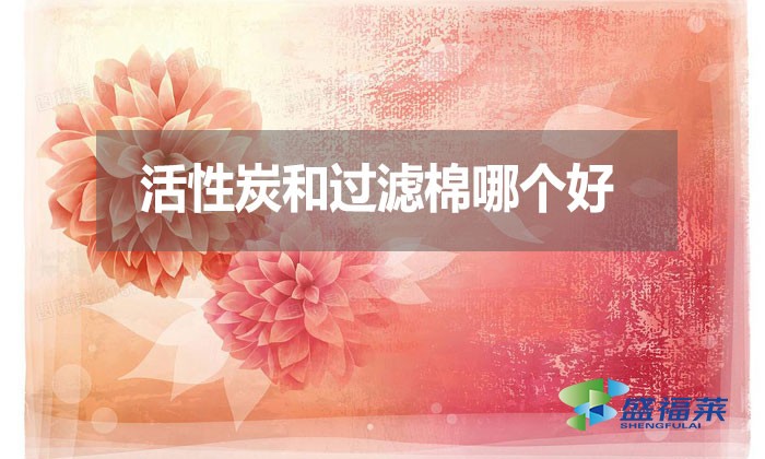 活性炭和过滤棉哪个好?