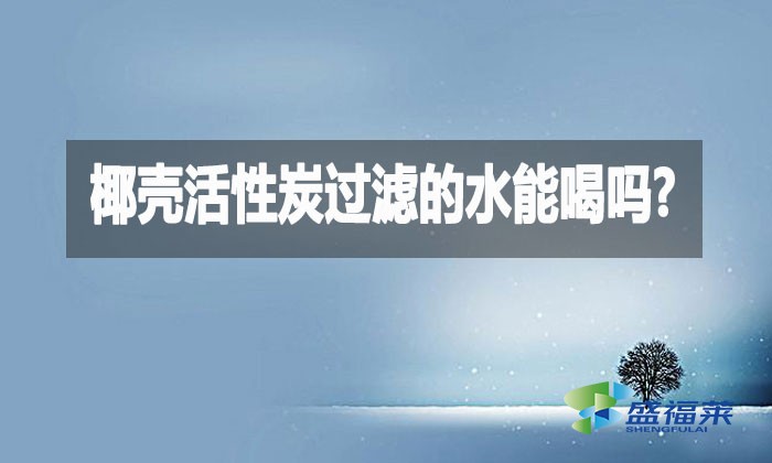 椰壳活性炭过滤的水能喝吗?