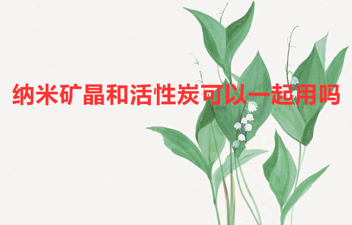 纳米矿晶和活性炭可以一起用吗?