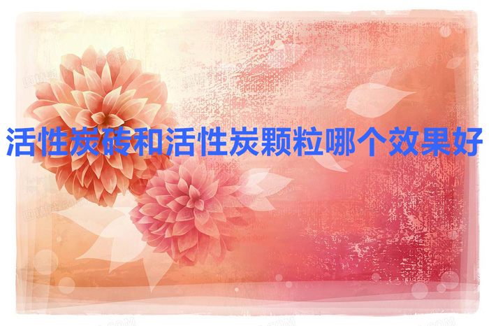 活性炭砖和活性炭颗粒哪个效果好
