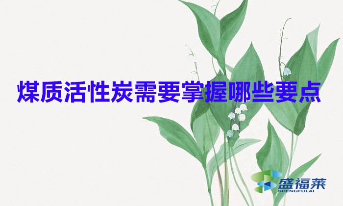 煤质活性炭需要掌握哪些要点（煤质活性炭使用注意事项）
