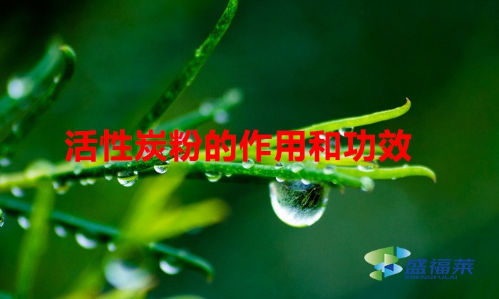 活性炭粉的作用和功效(雷竞技网址ios作用及注意事项)