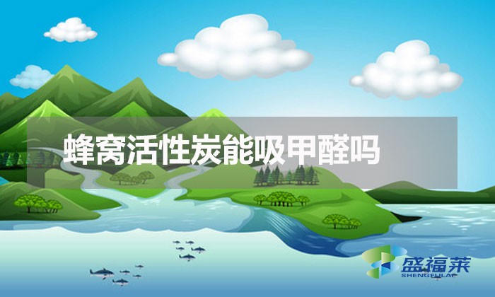 蜂窝活性炭能吸甲醛吗（蜂窝活性炭除甲醛原理）