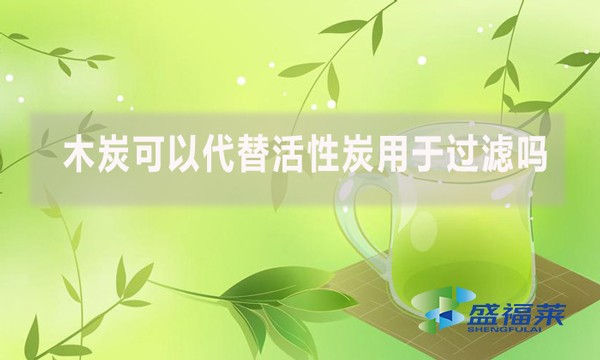 木炭可以代替活性炭用于过滤吗?