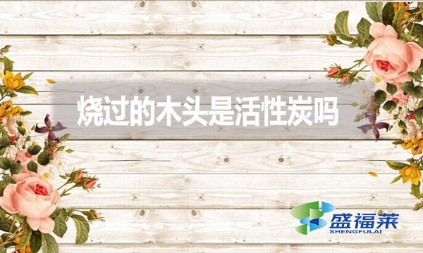 烧过的木头是活性炭吗?