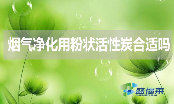 烟气净化用粉状活性炭合适吗？