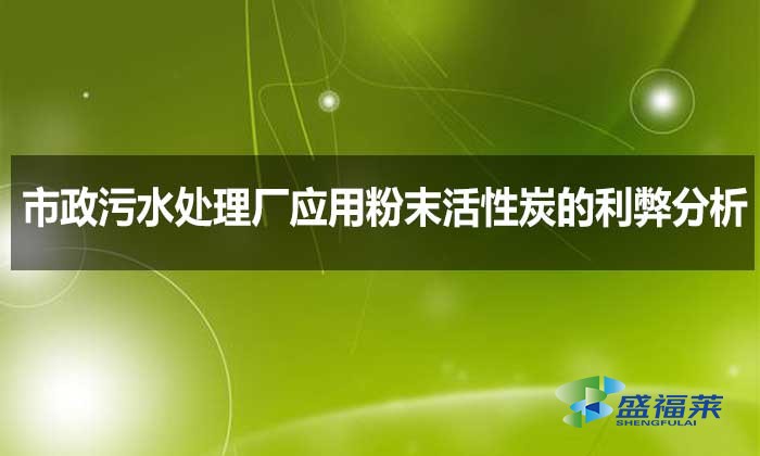 市政污水处理厂应用雷竞技网址ios的利弊分析